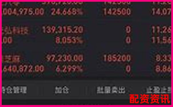 杠桿牛橫向?qū)Ρ仍u(píng)測與傳統(tǒng)投資方式的效率與收益差異分析-股票對(duì)應(yīng)pe15.33倍什么意思