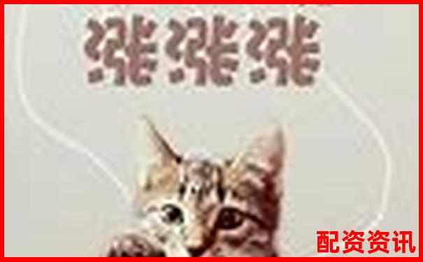 股票配資投資是否安全風(fēng)險(xiǎn)與收益如何權(quán)衡-杠桿倍數(shù)說明什么現(xiàn)象