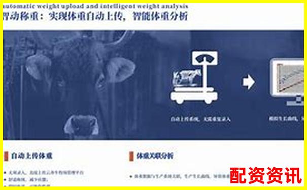 深度評測牛力配資平臺安全性穩(wěn)定性和用戶體驗全維度解析-窮人適合哪幾個理財股票平臺