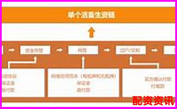 實(shí)測(cè)盈牛網(wǎng)五大核心功能看看它如何滿足投資者多樣化需求-十倍杠桿怎么算盈利能力