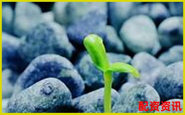 股票配資利息合理區(qū)間分析及市場(chǎng)行情參考-股票翻一倍掙多少錢(qián)合適